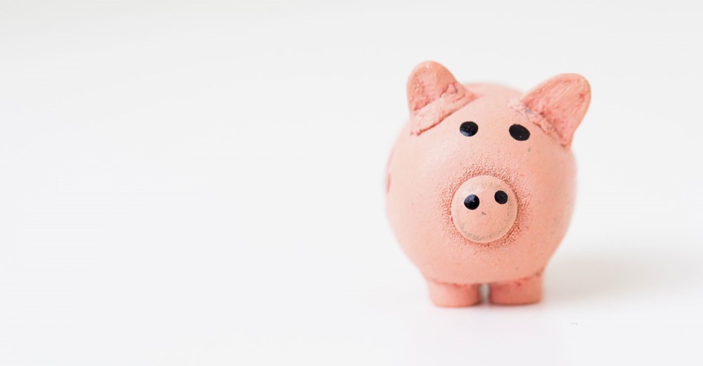 Blog - Winning against big discounters online